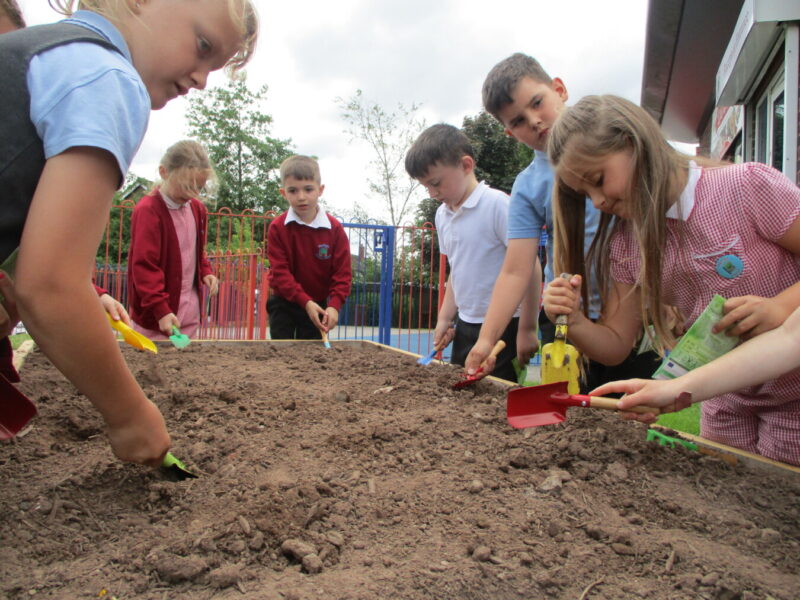 Social Value and the Environment